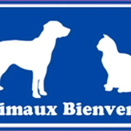 Beau T3 Avec Piscine Collective Proche Port,plage Et Commerces-4jdn822 Feriehus